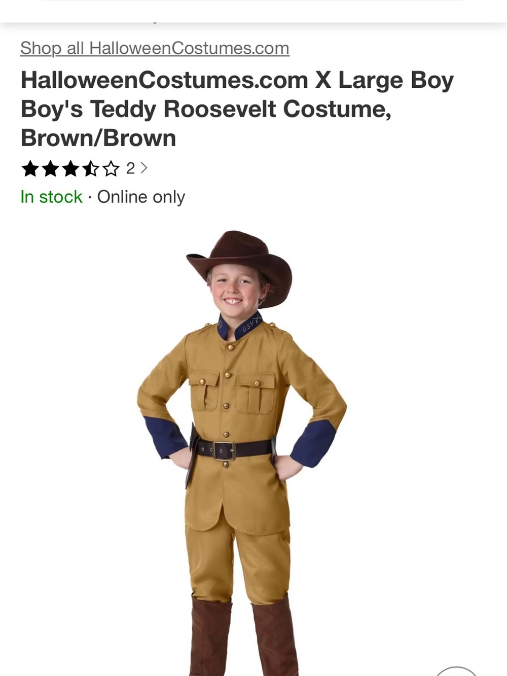 HalloweenCostumes.com Teddy Roosevelt Boys' Brown Historical Costume